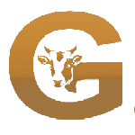 G Logo